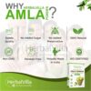 Herbvilla Amla Indian Gooseberry Powder