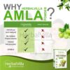 Herbvilla Amla Indian Gooseberry Powder