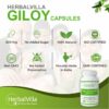 Herbvilla Giloy Extract Tablets - 500 mg