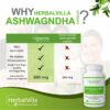 Why Herbvilla Ashwagandha (Indian Ginseng) 500mg capsules – Pure Herbs Extract for General wellness