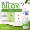 Herbvilla Giloy Extract Tablets - 500 mg