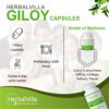 Herbvilla Giloy Extract Tablets - 500 mg