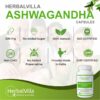 Why Herbvilla Ashwagandha (Indian Ginseng) 500mg capsules – Pure Herbs Extract for General wellness