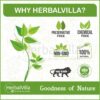 Herbvilla Natural Henna Powder