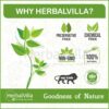 Herbvilla Brahmi Powder for Eating and hair growth